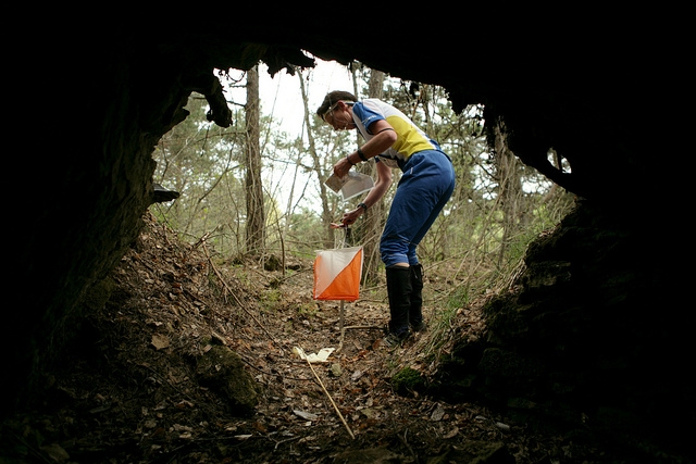  Gare di orienteering nella foresta 